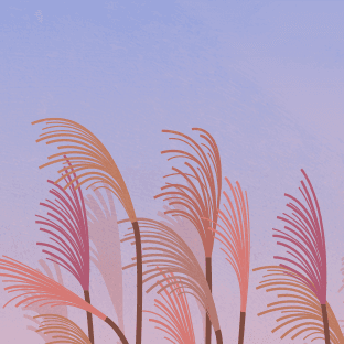 sleep music content image